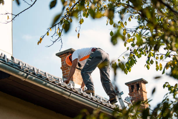 Best Storm Damage Roof Repair  in North Ridgeville, OH