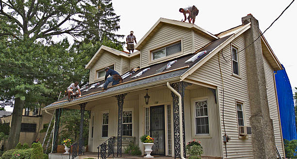 Best Roof Maintenance Services  in North Ridgeville, OH